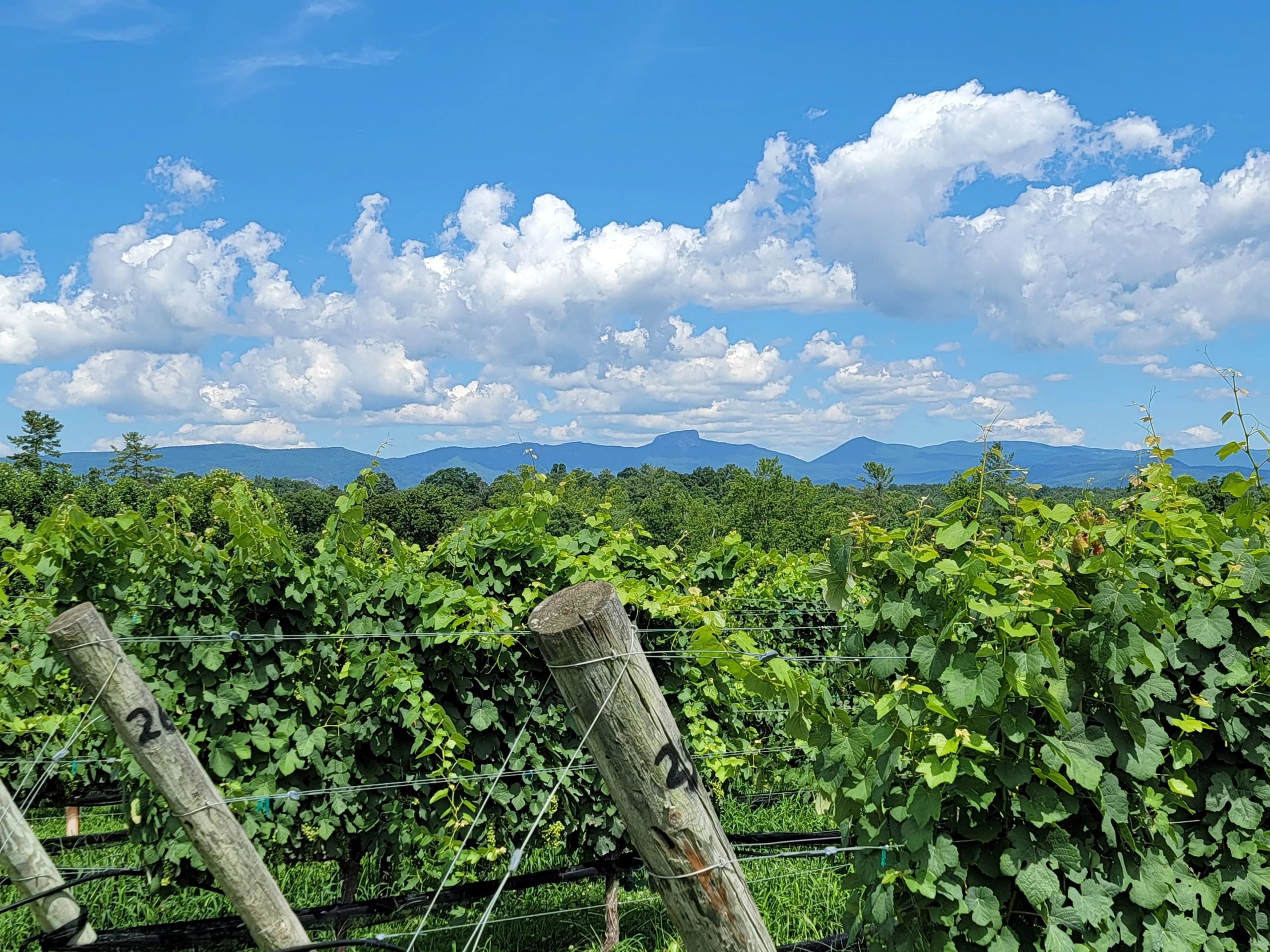 Quaker Meadows Winery